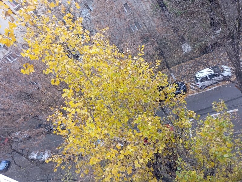 13 Septembrie Panduri, bloc mixt 1992, metrou Academia Militara